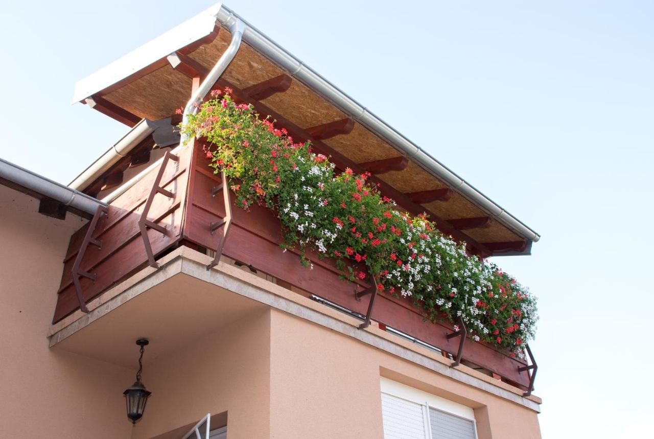 Vesna Apartman Vukovár Kültér fotó