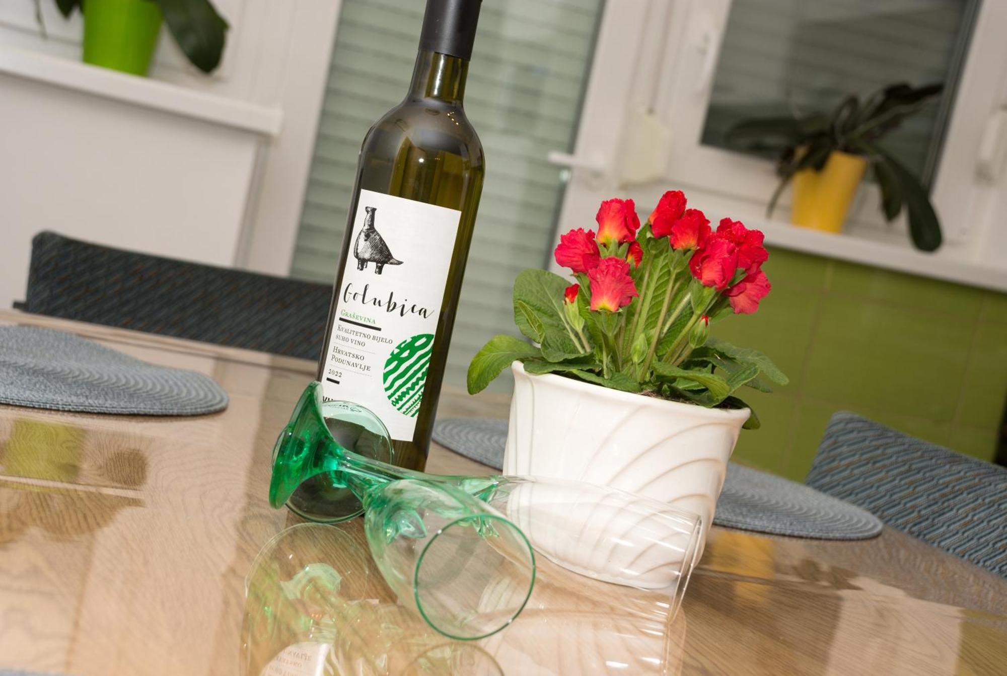 Vesna Apartman Vukovár Kültér fotó